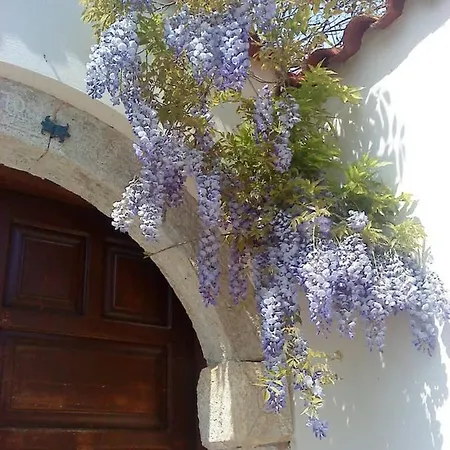 Holiday home House Alissos